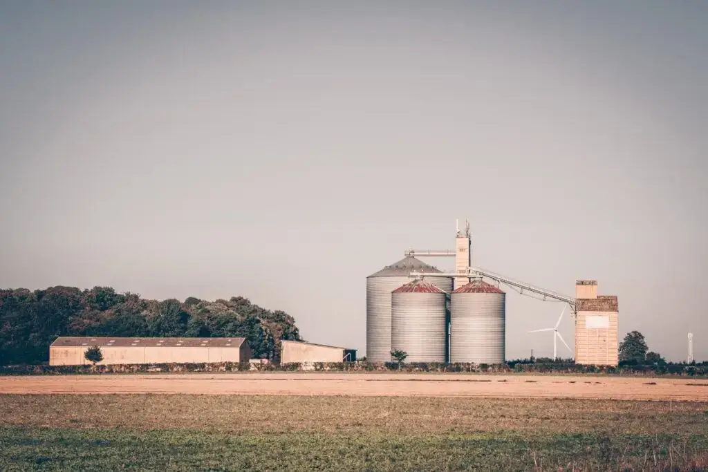 Como Investir no Agronegócio