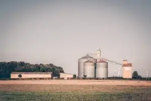 Como Investir no Agronegócio: Melhores Oportunidades