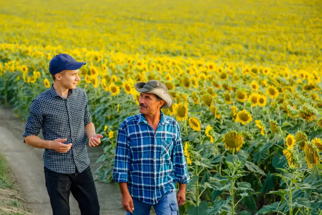 Como investir em Fiagro