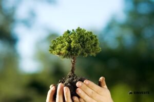 COP 30 em Belém: Conferência Climática